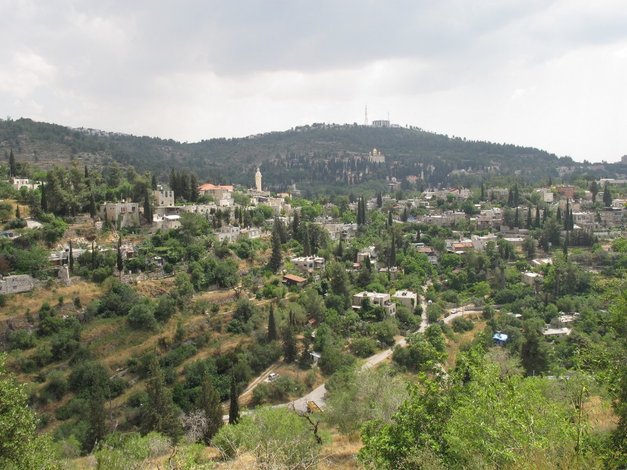 צילום: רון חביליו